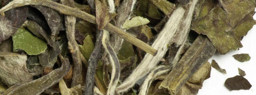 Kép a Fehér tea, sárga tea kategóriához