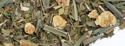 COOL AND FRESH MATE tea, zöld maté tea képe
